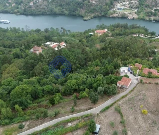 Terreno para Venda em Espadanedo
