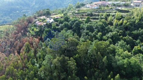 Terreno para Venda em Espadanedo