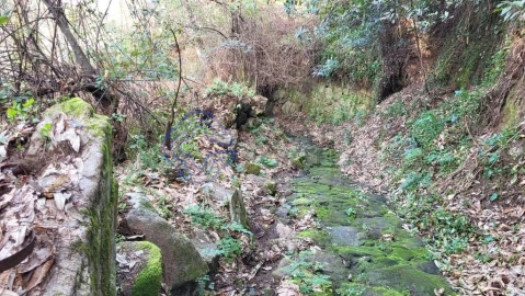 Terreno para Venda em Espadanedo