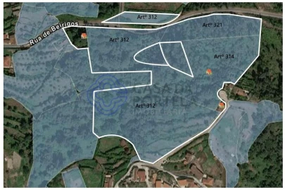 Terreno para Venda em Espadanedo