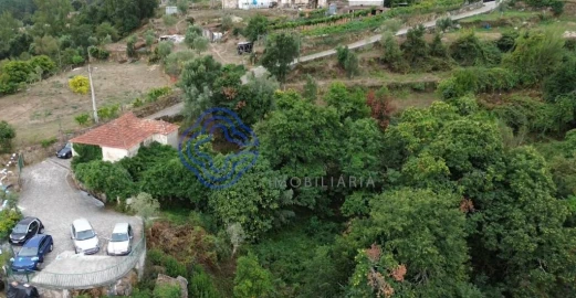 Terreno para Venda em Espadanedo