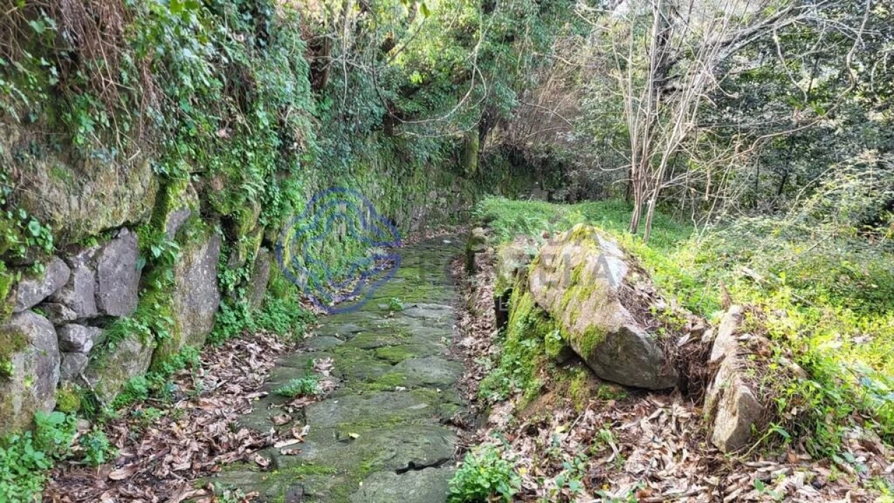 Terreno para Venda em Espadanedo Foto 8