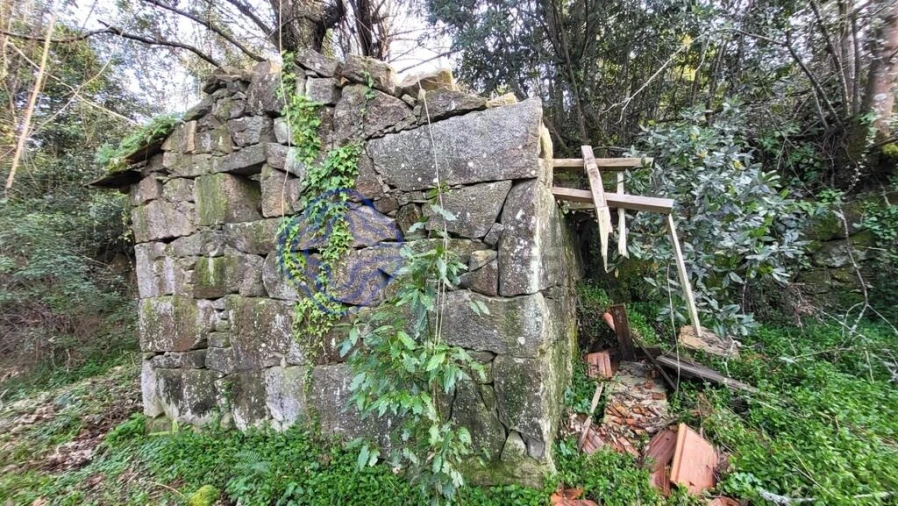 Terreno para Venda em Espadanedo Foto 7