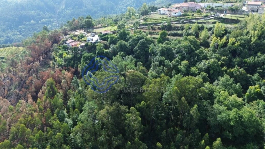 Terreno para Venda em Espadanedo Foto 16
