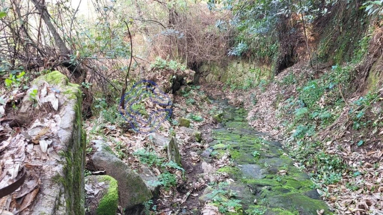 Terreno para Venda em Espadanedo Foto 9