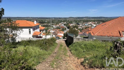 Terreno para Venda em São Martinho de Árvore e Lamarosa