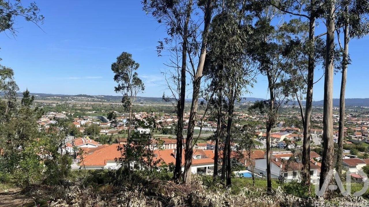 Terreno para Venda em São Martinho de Árvore e Lamarosa Foto 2