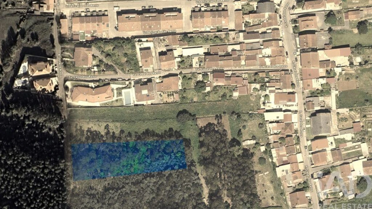 Terreno para Venda em São Martinho de Árvore e Lamarosa Foto 8