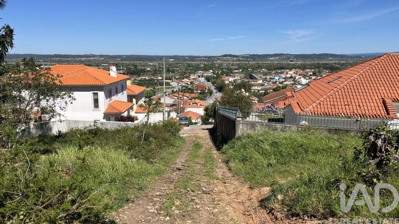 Terreno para Venda em São Martinho de Árvore e Lamarosa Foto 6
