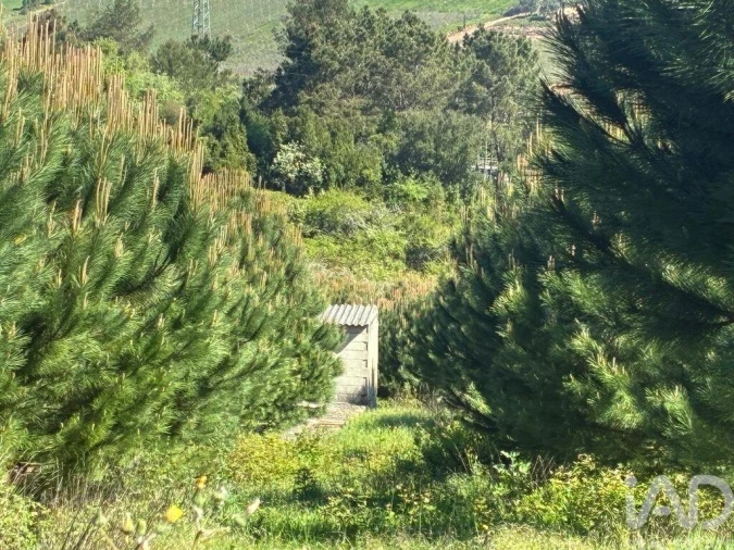 Moradia T3 para Venda em Caldas da Rainha - Santo Onofre e Serra do Bouro Foto 15