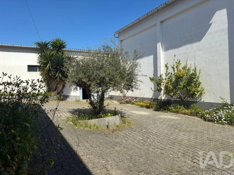 Moradia T3 para Venda em Caldas da Rainha - Santo Onofre e Serra do Bouro Foto 12