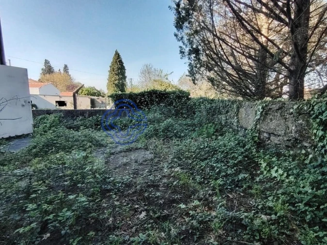 Loja para Venda em Areias, Sequeirô, Lama e Palmeira Foto 19