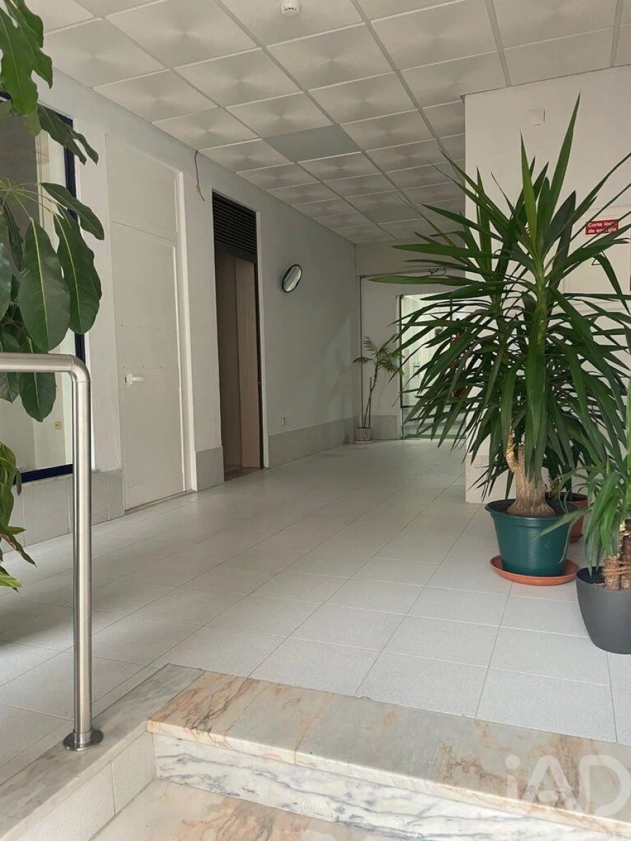 Loja para Arrendamento em Pinhal Novo Foto 6