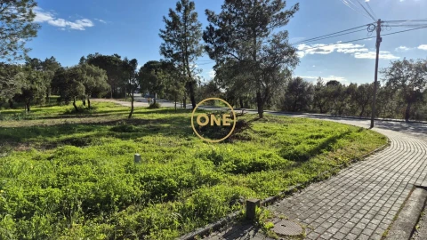 Terreno para Venda em Santa Margarida da Coutada