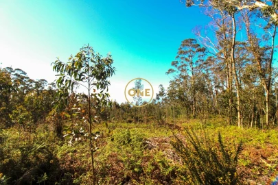 Terreno para Venda em Quinta Grande