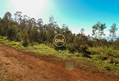 Terreno para Venda em Quinta Grande