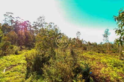 Terreno para Venda em Quinta Grande