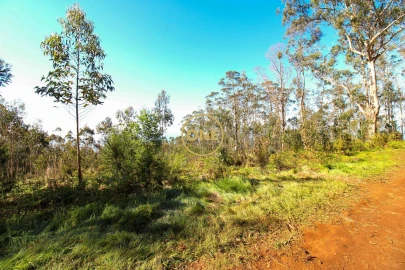 Terreno para Venda em Quinta Grande
