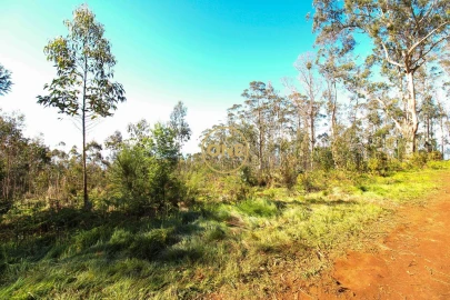 Terreno para Venda em Quinta Grande