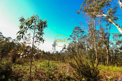 Terreno para Venda em Quinta Grande