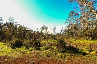 Terreno para Venda em Quinta Grande