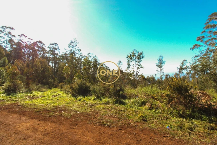 Terreno para Venda em Quinta Grande Foto 4