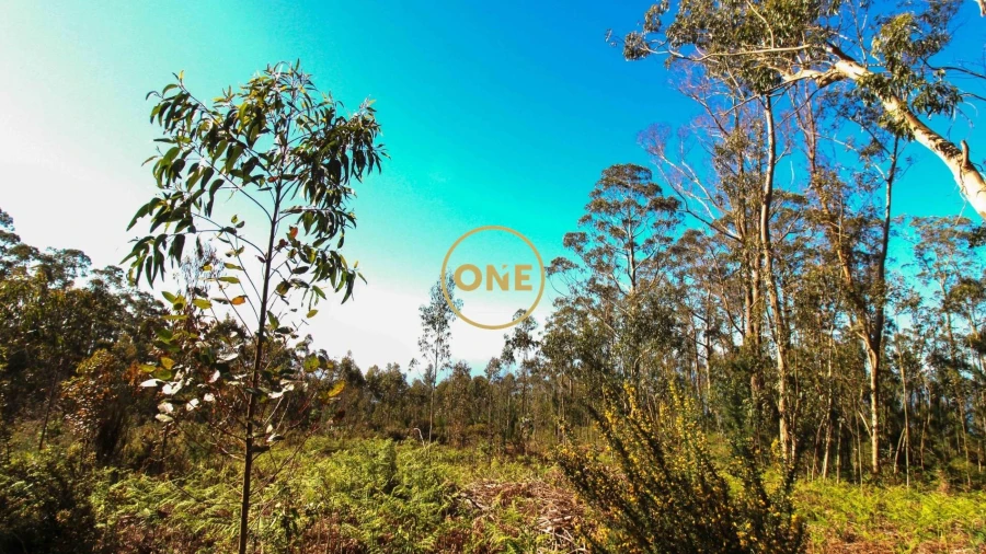 Terreno para Venda em Quinta Grande