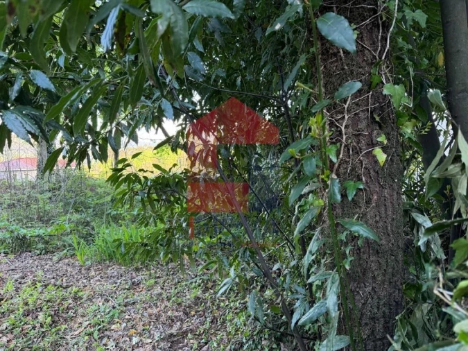Moradia T2 para Venda em Valbom (São Pedro), Passô e Valbom (São Martinho) Foto 14