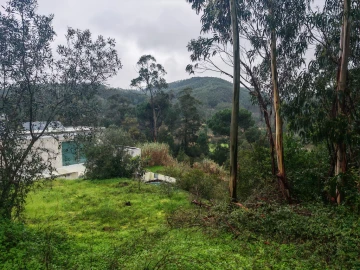 Terreno para Venda em Brasfemes