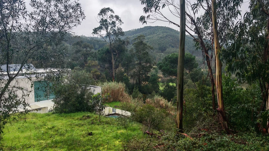 Terreno para Venda em Brasfemes