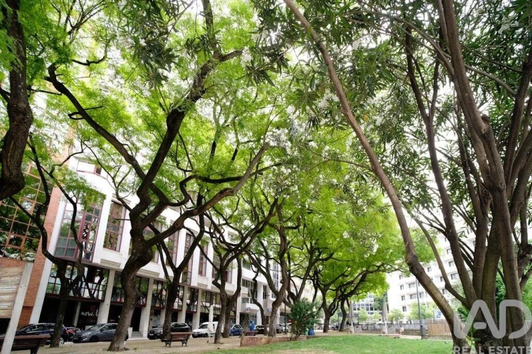 Apartamento T1 para Arrendamento em Avenidas Novas