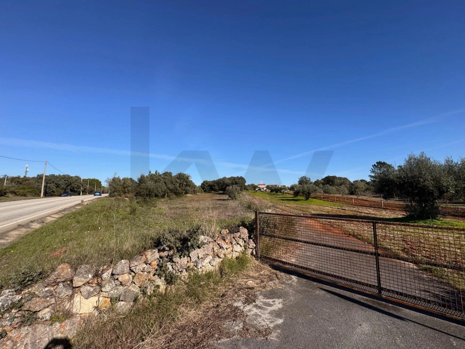 Terreno para Venda em Brogueira, Parceiros de Igreja e Alcorochel Foto 7