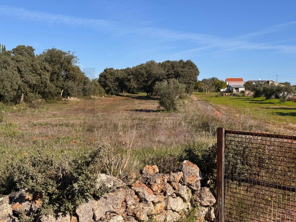Terreno para Venda em Brogueira, Parceiros de Igreja e Alcorochel Foto 8