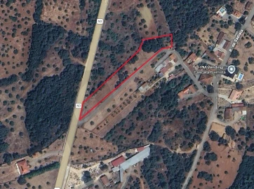 Terreno para Venda em Brogueira, Parceiros de Igreja e Alcorochel