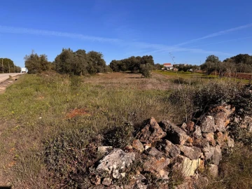 Terreno para Venda em Brogueira, Parceiros de Igreja e Alcorochel