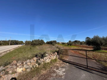 Terreno para Venda em Brogueira, Parceiros de Igreja e Alcorochel