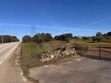 Terreno para Venda em Brogueira, Parceiros de Igreja e Alcorochel