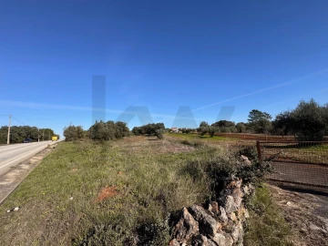 Terreno para Venda em Brogueira, Parceiros de Igreja e Alcorochel