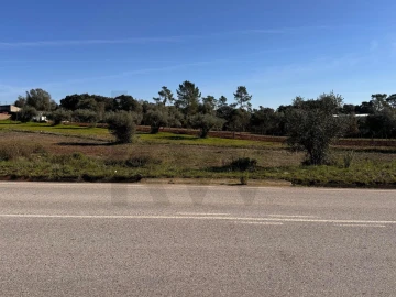 Terreno para Venda em Brogueira, Parceiros de Igreja e Alcorochel
