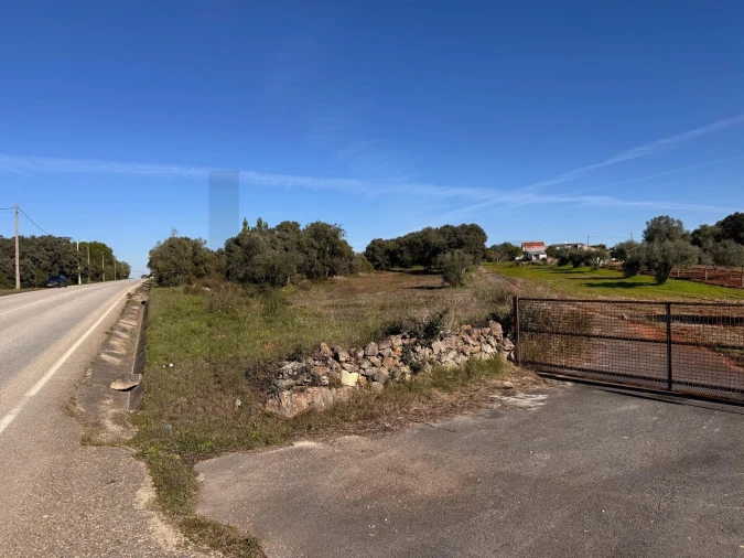 Terreno para Venda em Brogueira, Parceiros de Igreja e Alcorochel Foto 5