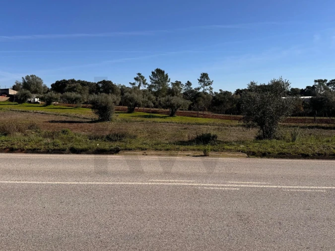 Terreno para Venda em Brogueira, Parceiros de Igreja e Alcorochel Foto 12