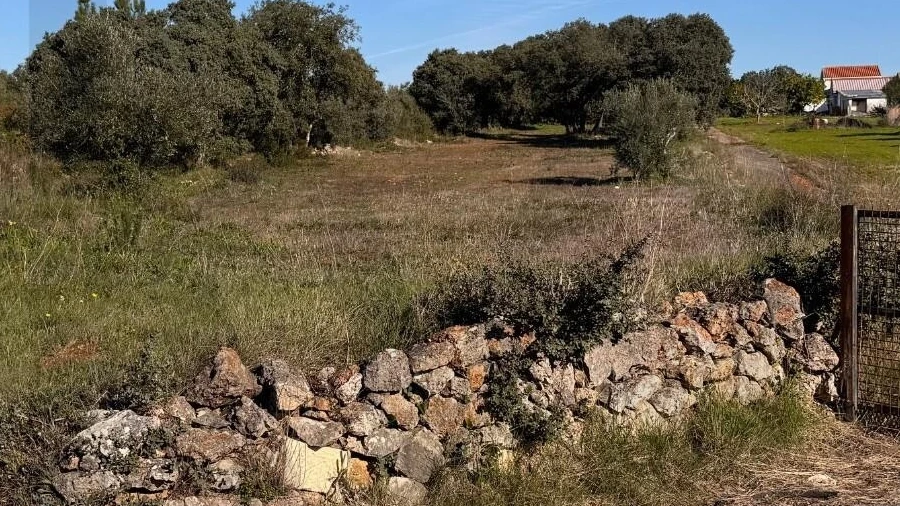 Terreno para Venda em Brogueira, Parceiros de Igreja e Alcorochel