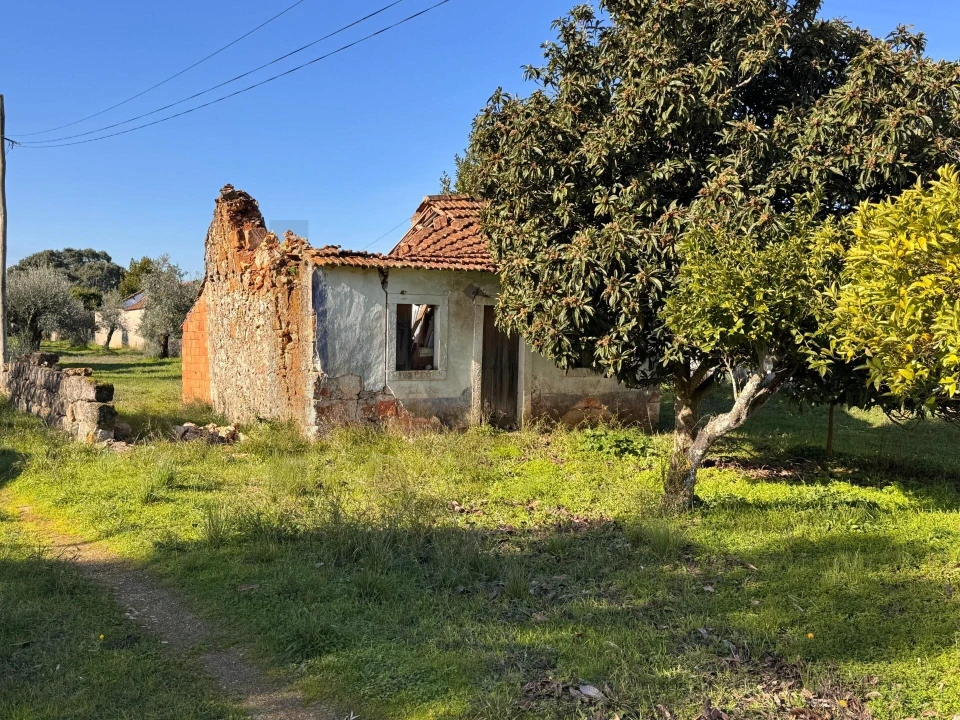 Moradia T2 para Venda em Brogueira, Parceiros de Igreja e Alcorochel Foto 1