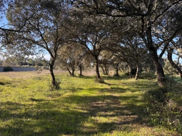 Moradia T2 para Venda em Brogueira, Parceiros de Igreja e Alcorochel