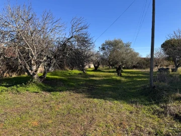 Moradia T2 para Venda em Brogueira, Parceiros de Igreja e Alcorochel