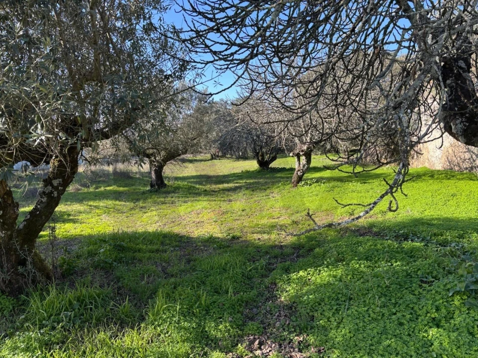 Moradia T2 para Venda em Brogueira, Parceiros de Igreja e Alcorochel Foto 12