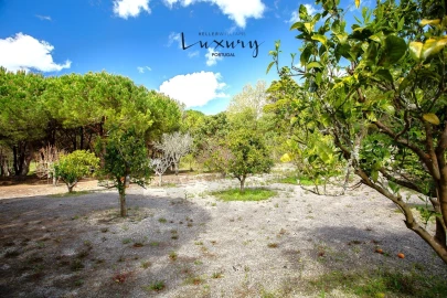 Moradia T4 para Venda em São João das Lampas e Terrugem