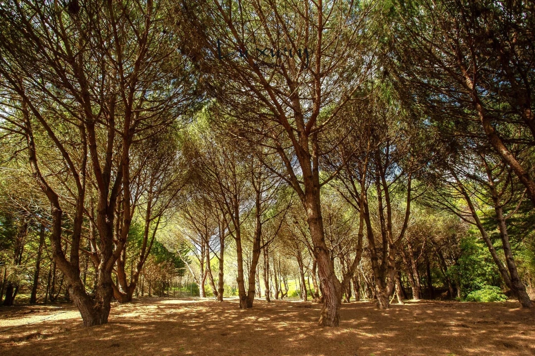 Moradia T4 para Venda em São João das Lampas e Terrugem Foto 38