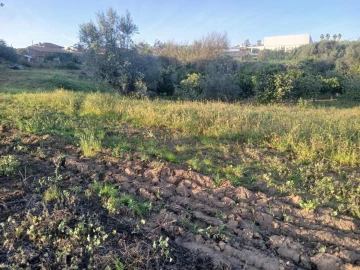 Quinta T5 para Venda em Torrão