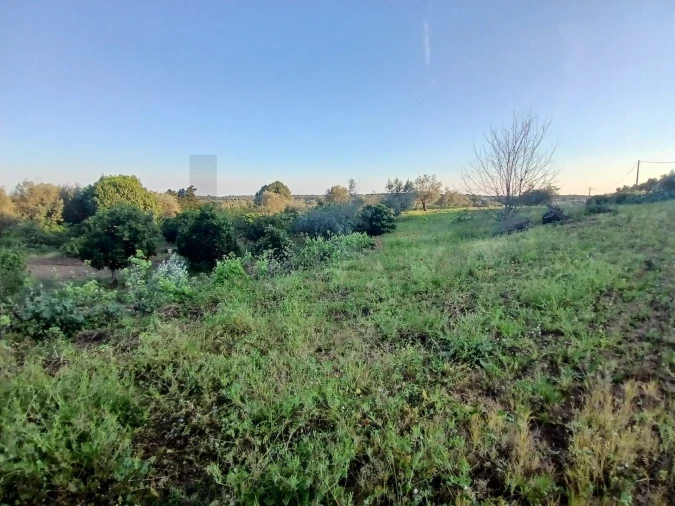 Quinta T5 para Venda em Torrão Foto 4